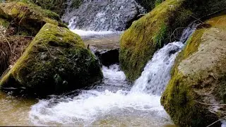 Relaxing River Sounds for Focus, Studying & A Peaceful Home 🌿 Relaxing Sleep Calming Anxiety