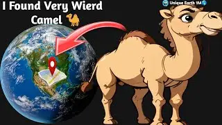 I Found A Crazy Camel 🐪😱👇 on google map and google earth 🌎 #uniqueearth1m #map #earth 