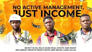 Oil Palm Farming & Real Estate Investment in Nigeria | High ROI Agro Business Explained