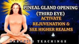 PINEAL GLAND OPENING (THIRD EYE): The Secret To Instant Rejuvenation And Enlightenment - Babaji
