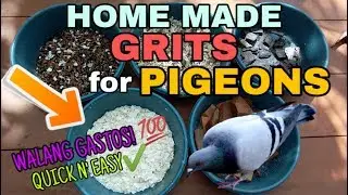 HOME MADE GRITS PARA SA KALAPATI NATIN | Quick and Easy!