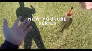 Winter 2020 Bass Fishing Using The Sukoshi Bug!