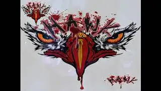 jimi shah। hawk Live। 2010