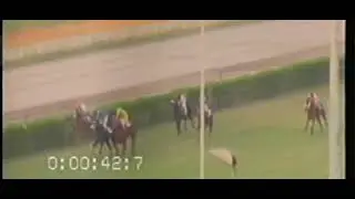 2nd Race Winner Laheef Butt Badshah | Ridden By Abdullah Amir Trainer Tauqeer Ahmad |