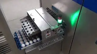 Nuovo Egg Stamper - Easy Print R30 on Mopack 100