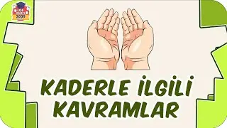 Kaderle İlgili Kavramlar 🤲🏻 8.Sınıf Din #2023LGS