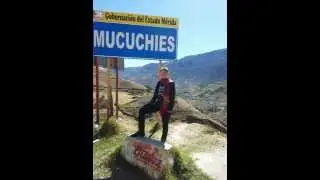 regueeton joel