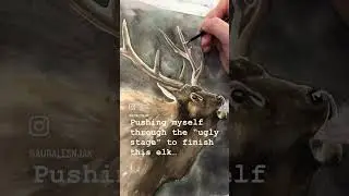Elk Painting Process #shorts #art  #wildlife #watercolorart