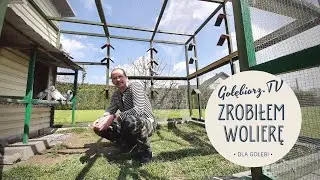 ZROBIŁEM WOLIERĘ dla gołębi?! *nie clickbait* || Gołębiorz.TV