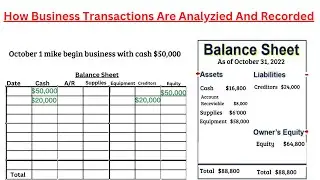 Analyzing The Effect Of Business Transaction | BBA MBA CA | Learning Corner