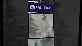 Обои с деревьями от российского бренда Palitra Home