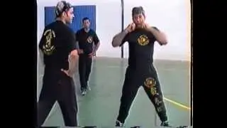 Jeet Kune Do Lección nº 2   puños 2ª parte