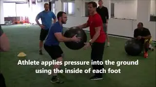 Perturbation Exercises - Reactive Core Training
