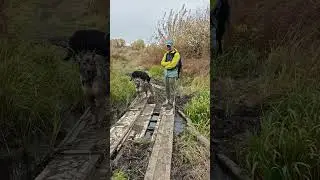 Шли, шли... новый мостик нашли 😁.