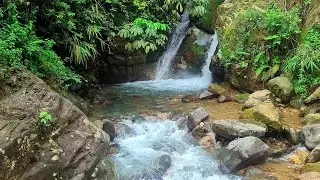 River Ambience | Peaceful Nature Sound to Help You Sleep and Relax