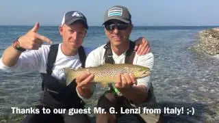 September 2016 - looks like the same fish...but it is not!