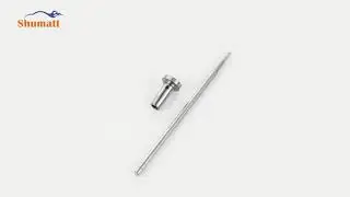 China made brand new | valve assembly | F00VC01310 | for | 0445110122 | 0445110131 injector