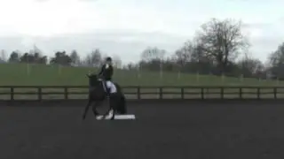 Masterpiece BRC area 5 intermediate dressage