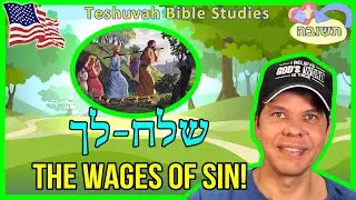 Blasphemy! Consequence of Willful Sin - שְׁלַח-לְךָ&lrm;&lrm; ​​- Sh'lah-Lecha - Torah Week 36 - Part 3 of 3