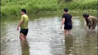 PANEN IKAN BANDENG 