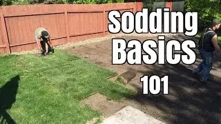 How NOT to lay Sod