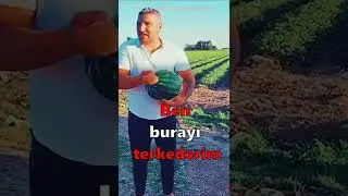Gelme git, karpuz :))