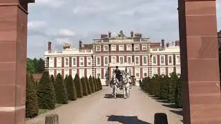 White Horse Drawn Carriage