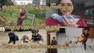 അഭിനയമില്ലാത്ത പച്ചയായ ജീവിതം