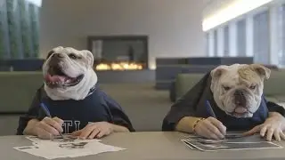 Georgetown Jack and Butler Blue III Reunited (Mascots for Georgetown & Butler)