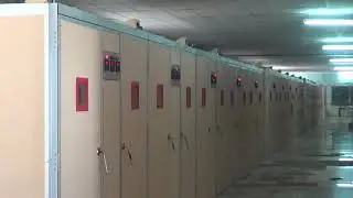 Single stage incubators