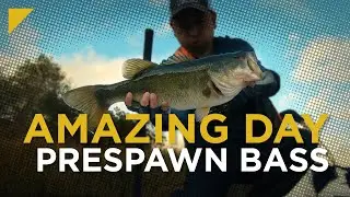 Amazing Pre-Spawn Catches at Lake Sherwood