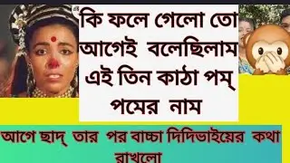 মারিয়া দিদির আশা পূর্ণ  করলো আগে ছাদ তারপর বাচ্চা আনবে|দিদিভাই দের নিরাশ করে নি| বাড়ির পর বাচ্চা 😇