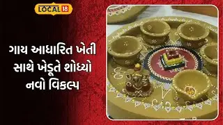 Gujarat Farmers | Farmer finds new alternative with cow based farming | Gujarat | Gujarati News | Local 18
