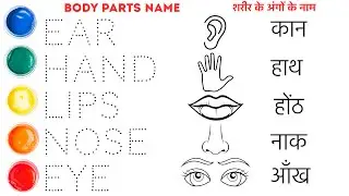 Body parts name in English and Hindi with pictures | Shobi study class 