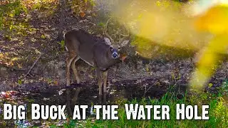 Big Buck at 30 Yards &ndash; Hunting a Water Hole