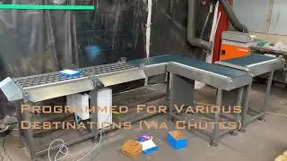 Amber Industries - High Speed Mini Sortation System With 5 Destination Points