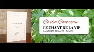 La vision r&eacute;elle / the real vision - Vid&eacute;o 24