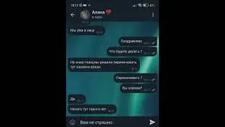Моя девушка пропала в лесу.Переписка Стёпы и Алины.