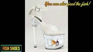 WEIRDEST SHOES EVER!!