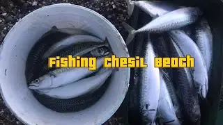 Go fishing at Chesil Beach.