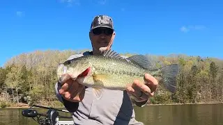 Laurel River Lake - Practice Day 2 for Ky Bass Nation
