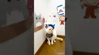 ワチャワチャ節分撮影会