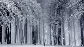 4K 2hrs Snow Falling on Trees with Relaxing Music for Focus, Study, Meditation, and Relaxation