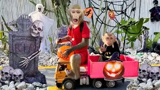 Bim Bim and monkey baby Obi participate in the Halloween festival and rescue ducklings