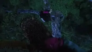 The Most Dangerous Job in the World Harvesting Honey from Giant Killer Bees 7vhMx5b hxk part3