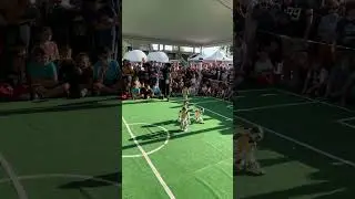 SPQR Team - soccer robots - scoring in the sunlight