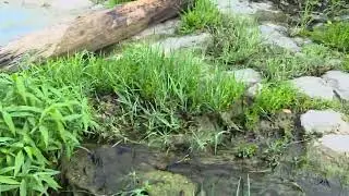 Bull Creek District Park