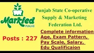 Markfed Punjab Recruitment 2021 OUT &ndash; 227 Post || Apply Online || LearnBetter