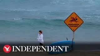 Search called off for &lsquo;British expat&rsquo; attacked by shark in Australia