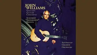 Guitar Concerto No. 1 in A Major, Op. 30: I. Allegro maestoso